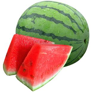 8424麒麟无籽西瓜种子籽特大高产巨型甜王南方小四季蔬菜水果种孑