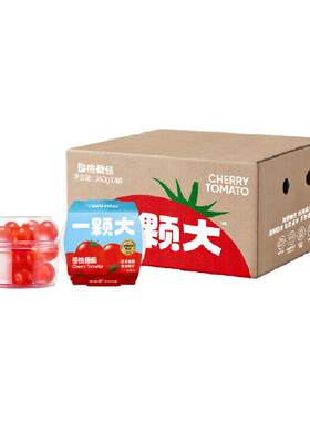 一颗大新鲜采摘樱桃番茄