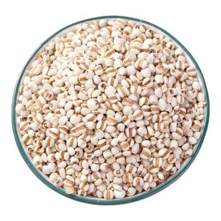 禾善恒州薏仁米500g*1当季新货无尘味五谷杂粮小薏米薏仁无干燥剂