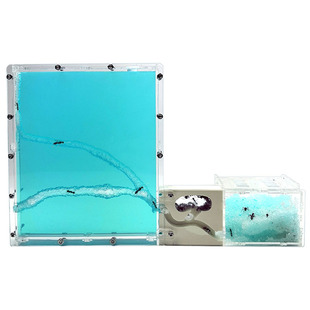 二个蚂蚁城堡配2个蚁后群对打 会打仗的工坊家园庄园别墅农场王国