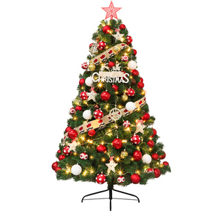 圣诞树2025新款加密大圣诞树家用装饰套餐ins风摆件小挂饰LED灯光