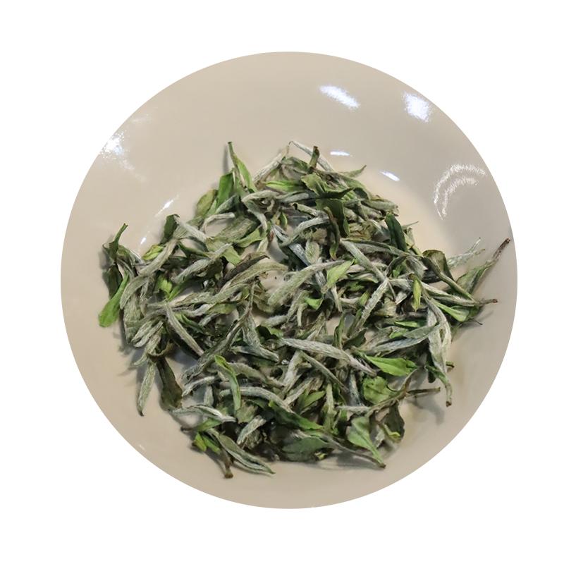 【深山行】炭焙牡丹王 福鼎白茶白牡丹