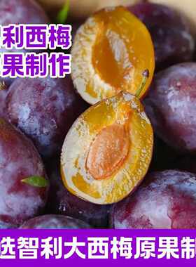 庄林果干0脂肪无蔗糖西梅干可试吃新鲜日期大果独立包装休闲食品