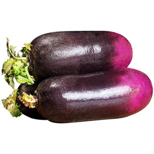 冰淇淋水果萝卜甜脆生吃冰糖心罗卜当季现拔潍坊紫心萝卜新鲜蔬菜