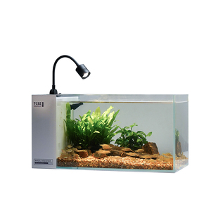 变焦射灯款侧滤鱼缸全套造景生态缸自循环小型办公室家用2024新款