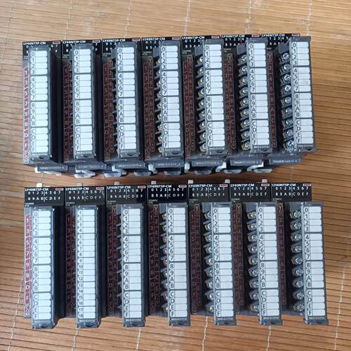 询LY40NT5P-CM