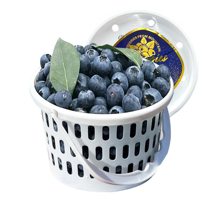 整桶发L25花香蓝莓大桶脆甜无酸