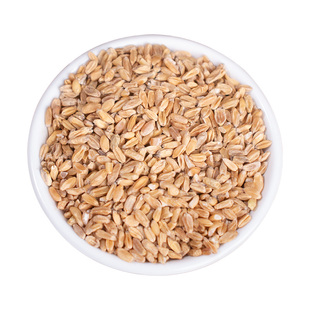 浮小麦中药材浮麦浮小麦茶正宗三伏汤止汗大枣甘草黄芪茶包瘪麦子