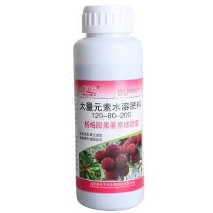 杨梅膨果黑亮增甜素杨梅大量元素水溶肥料促花壮棵靓果着色叶面肥