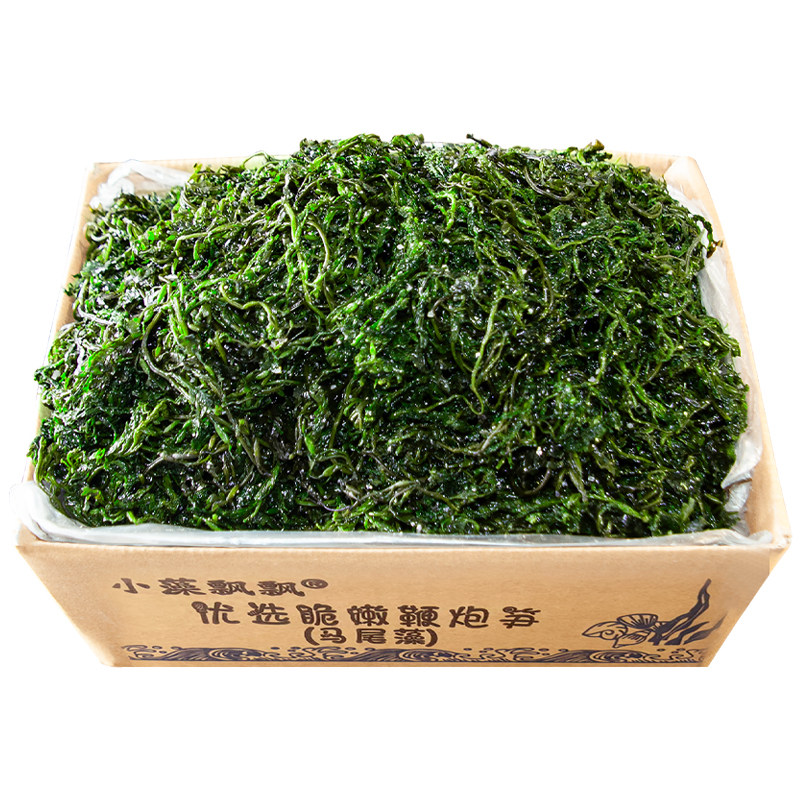 【出口品质】盐渍鞭炮笋马尾藻