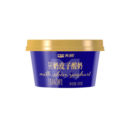 天润新疆奶皮子低温冷藏酸奶发酵厚奶皮原味酸奶100g
