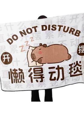 【卡皮巴拉空调被】实用生日礼物