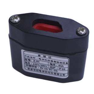 伴热带防爆终端接线盒ZJH伴热电缆尾端接线盒伴热带堵头220V/380V