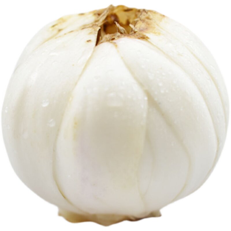 甘肃兰州百合特级大果食用新鲜