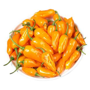 福鼎新鲜冷冻黄辣椒农家黄灯笼椒魔鬼椒子弹椒福建特产超特辣巨辣