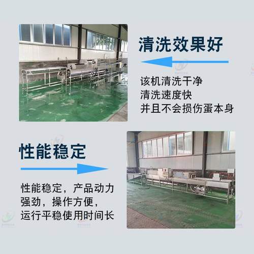 不锈钢高压喷淋洗蛋机养殖场鸡鸭蛋清洗烘干光检一体机流水线设备