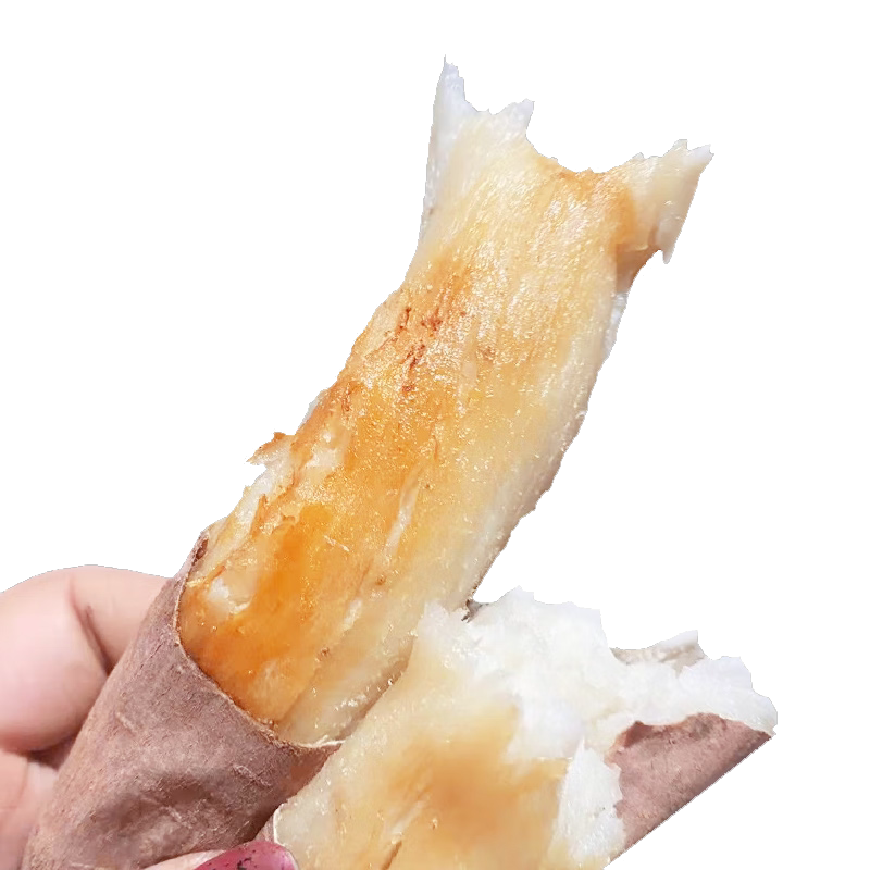 正宗山东哈密冰糖薯5斤