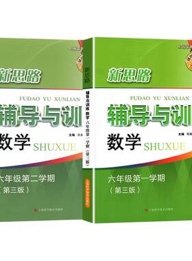 新思路六年级辅导训练数学