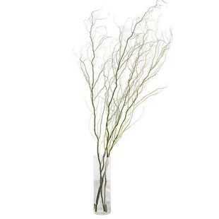 水培植物龙柳鲜枝切花水养绿植雪柳干支室内吊钟泡水长根装饰盆栽