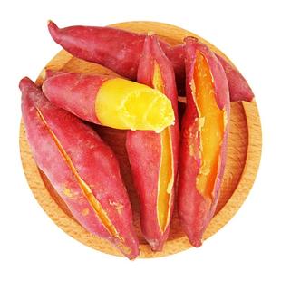 洪姑娘天目山小香薯正宗临安板栗红薯新鲜地瓜沙地薯迷你番薯山芋