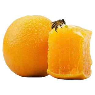 湘西特产湖南麻阳锦蜜冰糖橙果冻橙甜无酸