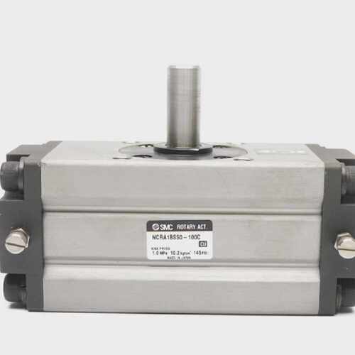 SMC NCRA1BS50-100C 145PSI NSNP