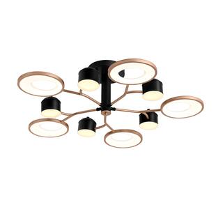 雷士照明星空灯现代简约吸顶灯奶油风护眼客厅吊灯主灯中山灯具