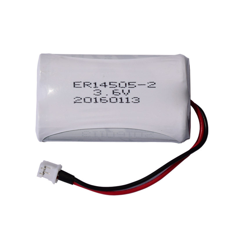 兰德华电池L-3000EF双节电池 9000P2000P单节电池3.6V 巡更棒电池