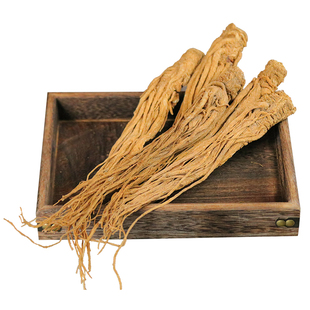 天然岷县全当归干归整根手选无硫熏50g 炖汤煲烫滋补卤料半斤包邮