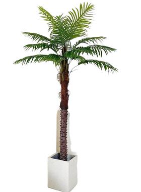 客厅电视柜旁绿植大型高端仿真树刺葵针葵椰子树假树客厅造景装饰