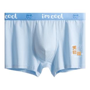 芬腾青少年内裤男生纯棉发育期平角初高中学生男孩中大童四角短裤