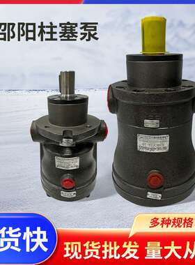 邵阳高压轴向柱塞泵邵液油泵10/25/32/40/63/80/160MCY14-1B厂家