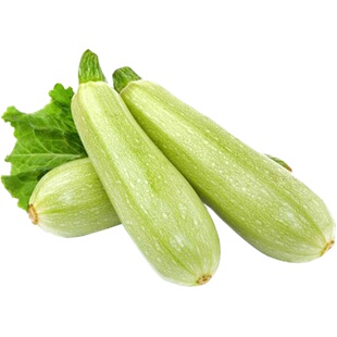 法国欧宝高产西葫芦种子种籽孑翠绿耐寒耐热抗病西胡芦早熟不歇秧