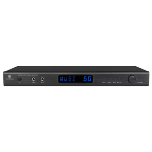 Winner/天逸 AD-308 混响器家用KTV前级专业DSP数字卡拉OK防啸叫