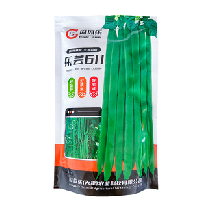 基地推荐乐芸611四季架豆种子宽扁肉厚无筋耐鼓籽四扁豆角菜籽种