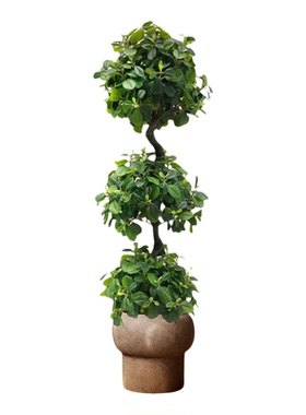 仿真球型绿植金钱榕高端轻奢