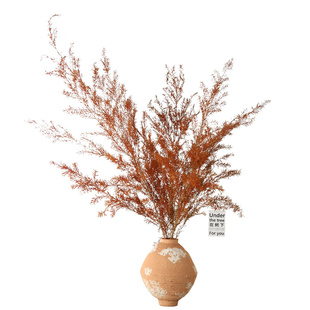 千层金干花花束客厅摆设长枝干支艺术插花橱窗装饰永生花高级真花