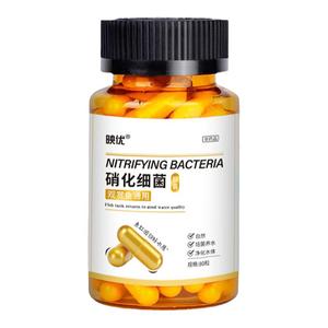 硝化细菌鱼缸用专用胶囊净水剂颗粒活菌干粉水质稳定净化水族鱼用