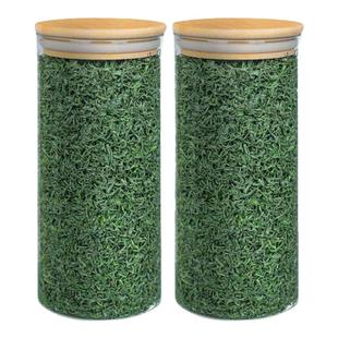 买一送一新茶春茶高山绿茶非毛尖茶特级日照充足云雾茶叶散装礼盒