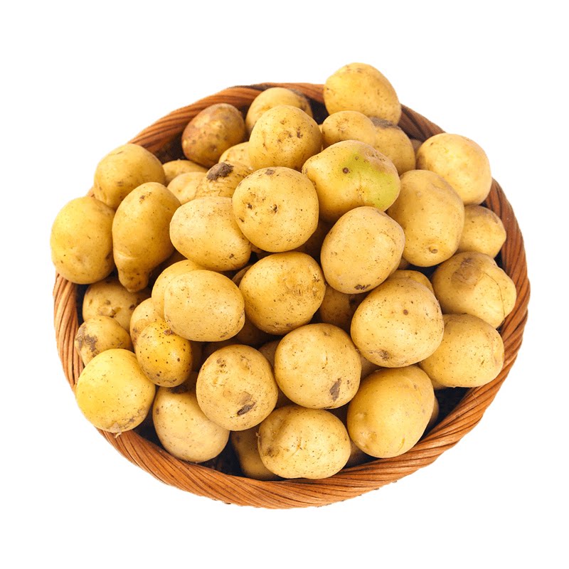 恩施富硒黄心土豆!当地力荐!