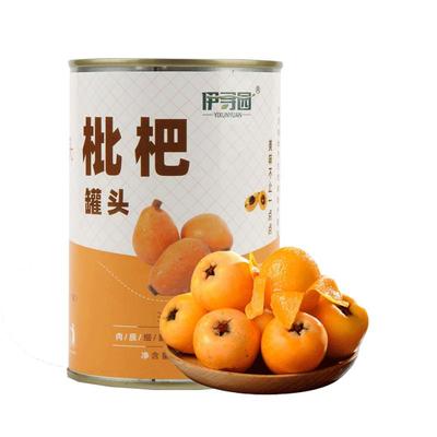 枇杷罐头新鲜水果糖水425g