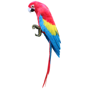 金刚鹦鹉仿真摆件羽毛鸟非活物客厅假动物标本摆设模型家居装饰品