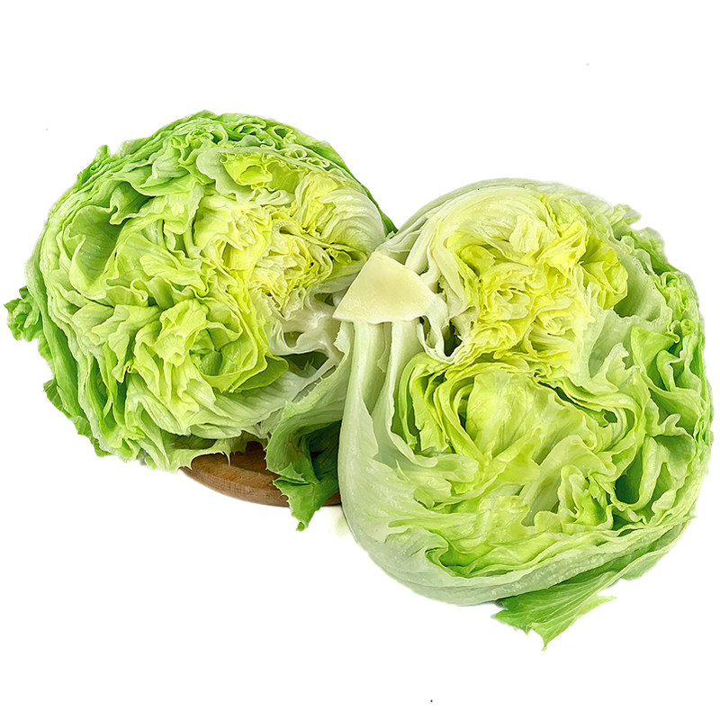 球生菜20斤 包邮 新鲜蔬菜沙叶菜类
