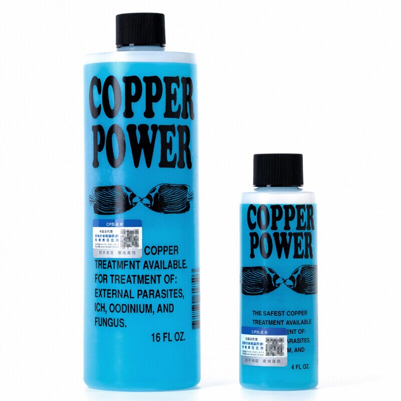海缸白点检疫隔离海化白点水CP