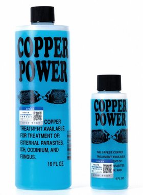 海缸白点检疫隔离海化白点水CP