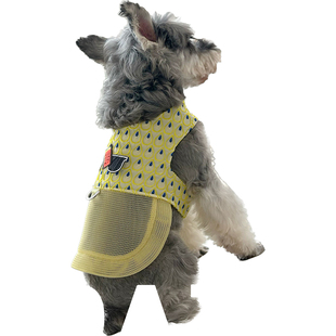 大子原创宠物狗夏季时尚眼镜款黄色马甲牵引 马尔济斯博美雪纳瑞