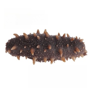 参中王大连淡干海参特价250g底播孕妇级500g野生干货辽刺参非即食