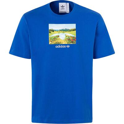 Adidas/阿迪达斯正品三叶草GRAPHIC TEE男士运动短袖JF2859