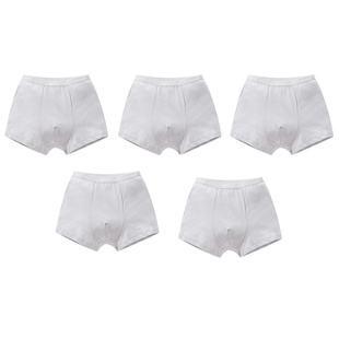 【一次性内裤】安奈儿童装男童平角底裤五件装2026夏新款日抛免洗