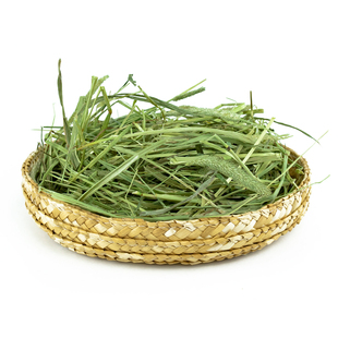 娜姐与兔【阳光味道】25年兔子晒干草提摩西草干草龙猫荷兰猪豚鼠